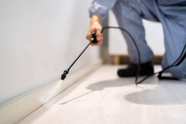 Licensed Ant Control service in Clarksville, VA - Nex Pest Control