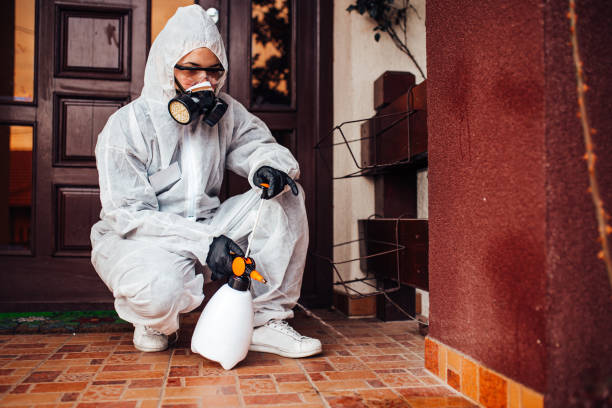 Reliable Ant Control contractor in Clarksville, VA by Nex Pest Control